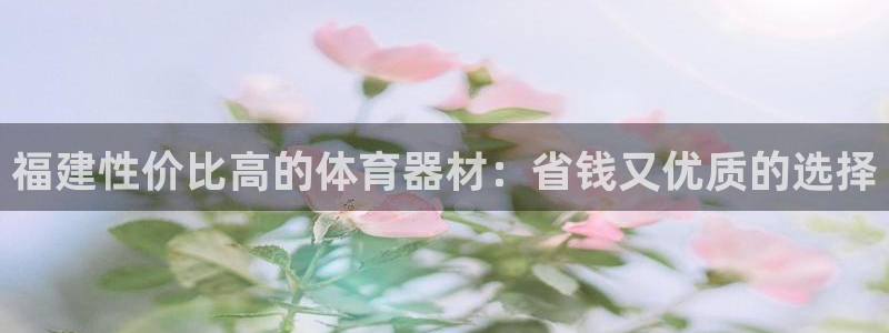耀世娱乐下载最新版本安装包大全：福建性价比高的体育器