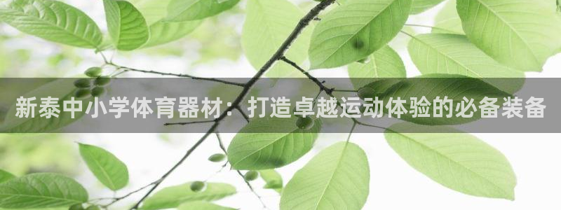 耀世娱乐网站下载：新泰中小学体育器材：打造卓越运动体