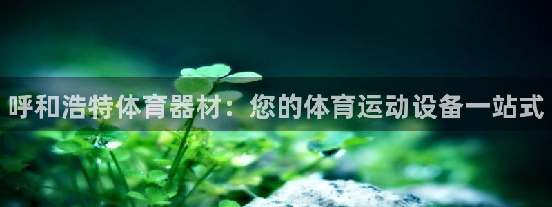 耀世平台产7O777：呼和浩特体育器材：您的体育运动