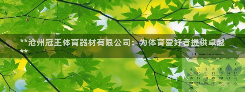耀世登场：**沧州冠王体育器材有限公司：为体育爱好者
