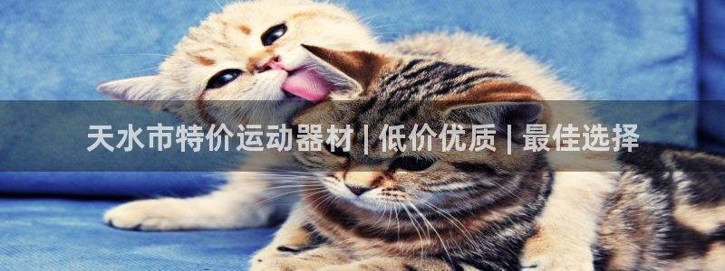 耀世挑战第二关怎么过：天水市特价运动器材 | 低价优