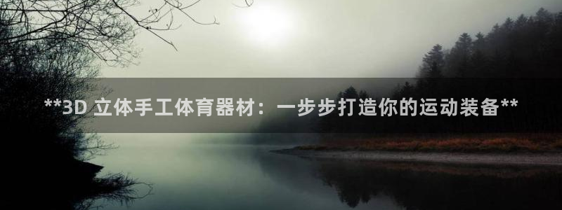 耀世娱乐登陆官网入口：**3D 立体手工体育器材：一