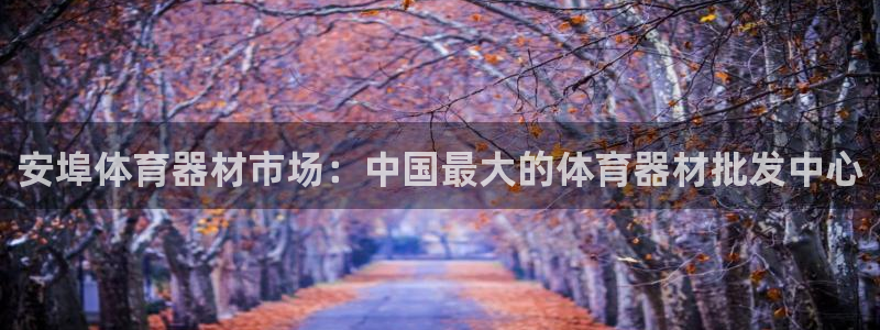 耀世的意思：安埠体育器材市场：中国最大的体育器材批发