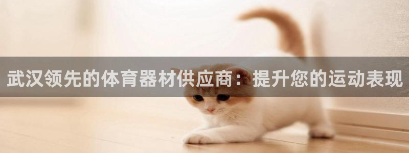 耀世娱乐怎么注册不了：武汉领先的体育器材供应商：提升