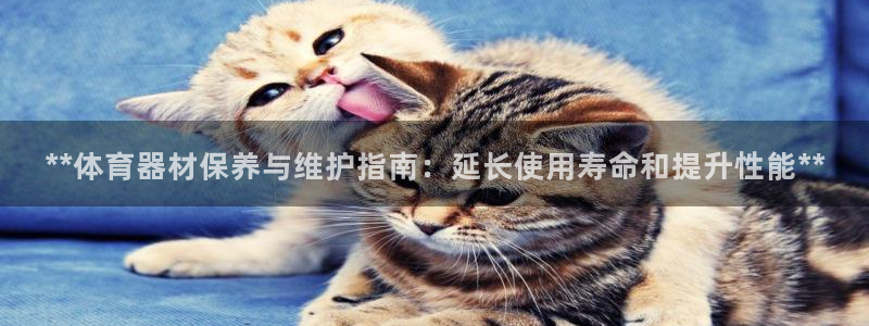 耀世游戏：**体育器材保养与维护指南：延长使用寿命和