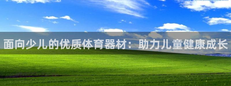 耀世意思：面向少儿的优质体育器材：助力儿童健康成长