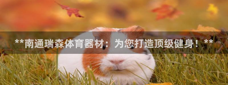 耀世平台哪个彩种是公平彩：**南通瑞森体育器材：为您