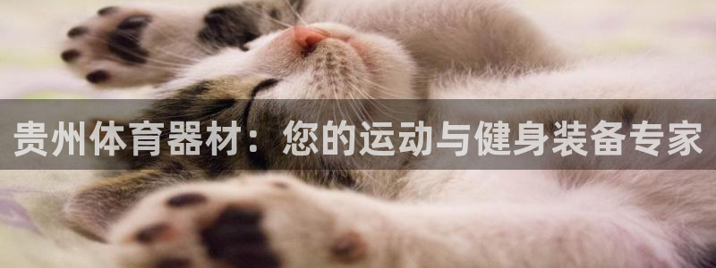 耀世集团董事长抖音是谁：贵州体育器材：您的运动与健身