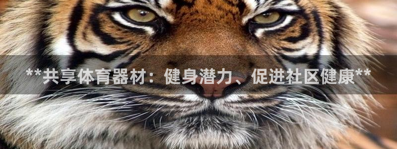 耀世平台招商：**共享体育器材：健身潜力、促进社区健