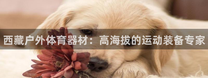 耀世国际平台正规吗可靠吗：西藏户外体育器材：高海拔的