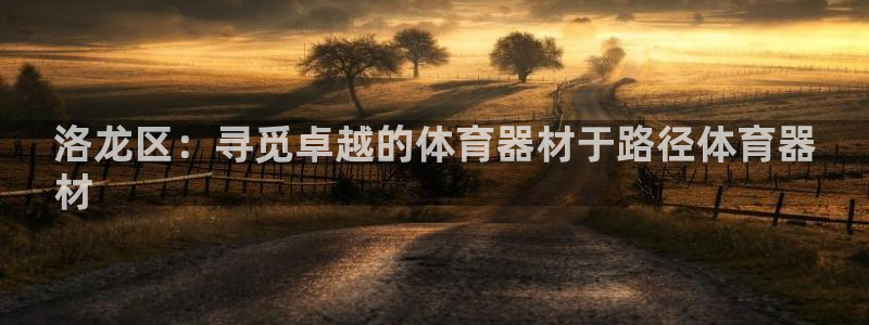 耀世娱乐家 411O31 耀世：洛龙区：寻觅卓越的体
