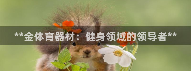 耀世平台代理多少钱一次：**金体育器材：健身领域的领