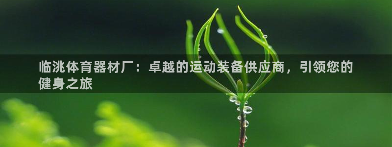 耀世娱乐平台注册地址在哪里：临洮体育器材厂：卓越的运