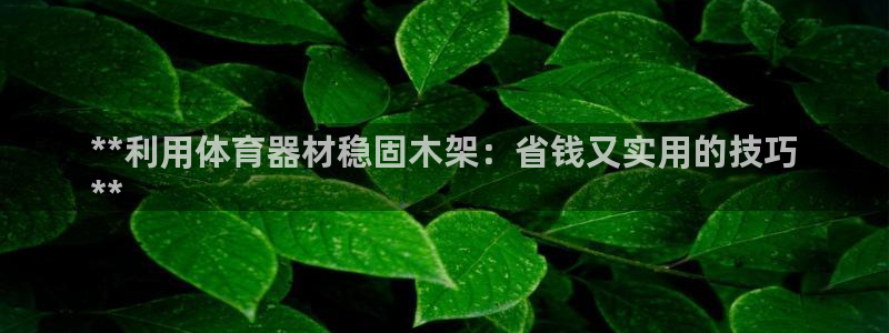 耀世天下的近义词是什么：**利用体育器材稳固木架：省