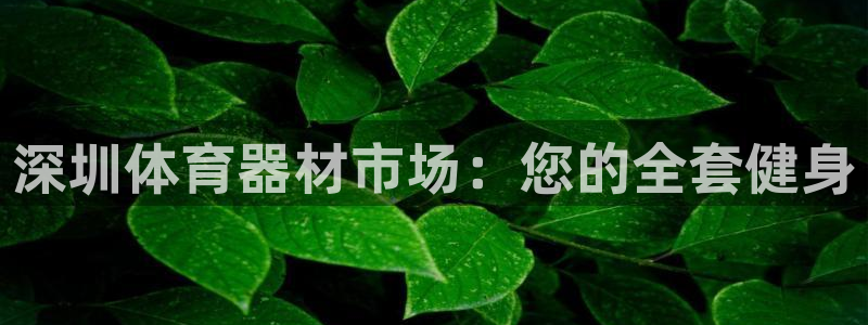 耀世平台注册链接怎么打开：深圳体育器材市场：您的全套
