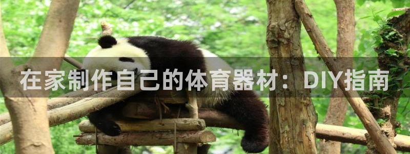 耀世兵权：在家制作自己的体育器材：DIY指南