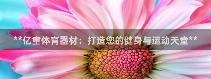 耀世娱乐app下载官网安卓：**亿童体育器材：打造您