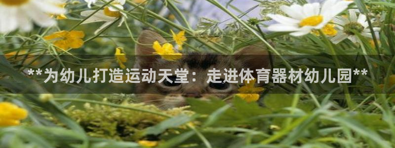 耀世娱乐注册官网账号：**为幼儿打造运动天堂：走进体