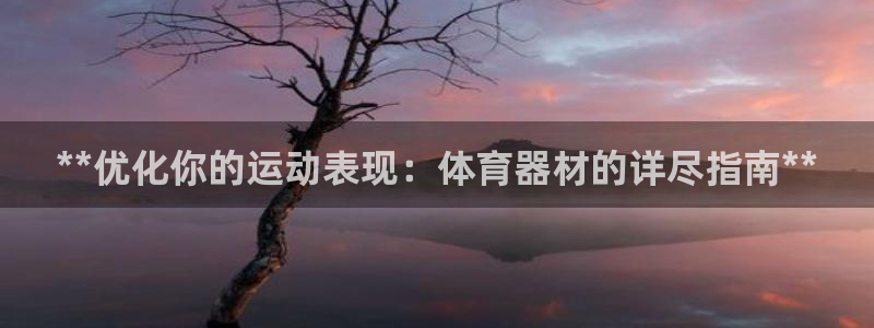 耀世娱乐的494o3 主管：**优化你的运动表现：体