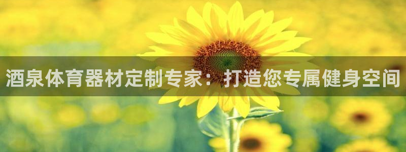 耀世娱乐含山设备：酒泉体育器材定制专家：打造您专属健