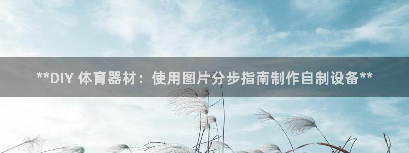 耀世登场下一句：**DIY 体育器材：使用图片分步指