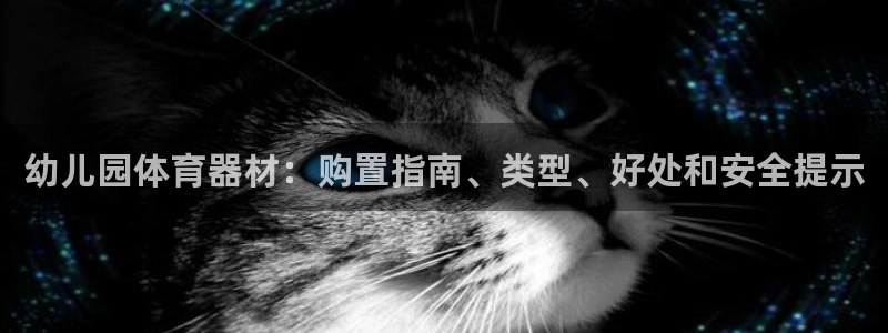 耀世娱乐官网注册流程：幼儿园体育器材：购置指南、类型