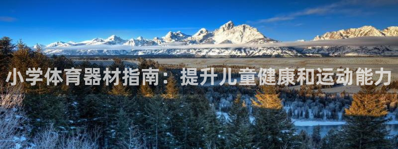 耀世娱乐能提现吗现在怎么样：小学体育器材指南：提升儿