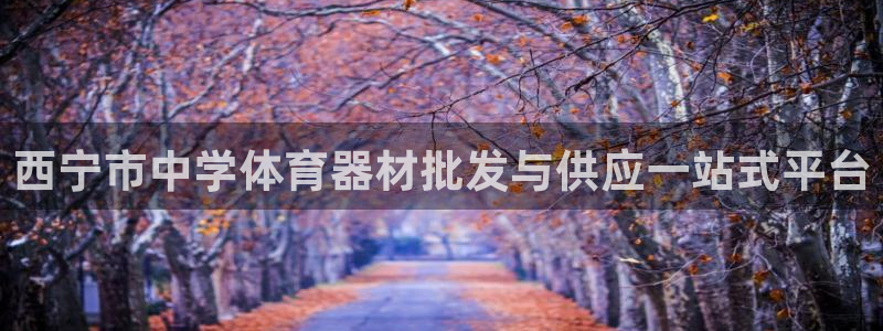 耀世集团是干嘛的企业啊知乎：西宁市中学体育器材批发与