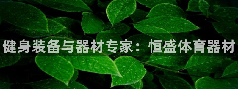 耀世娱乐如何登录账号：健身装备与器材专家：恒盛体育器