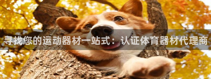 耀世而生：寻找您的运动器材一站式：认证体育器材代理商
