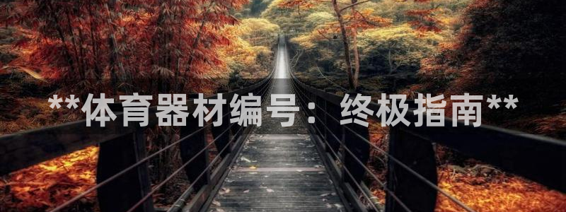 耀世楼盘：**体育器材编号：终极指南**