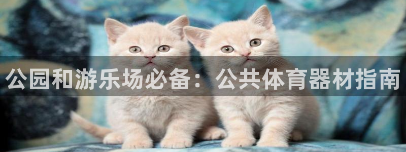 耀世娱乐能提现吗现在多少钱：公园和游乐场必备：公共体