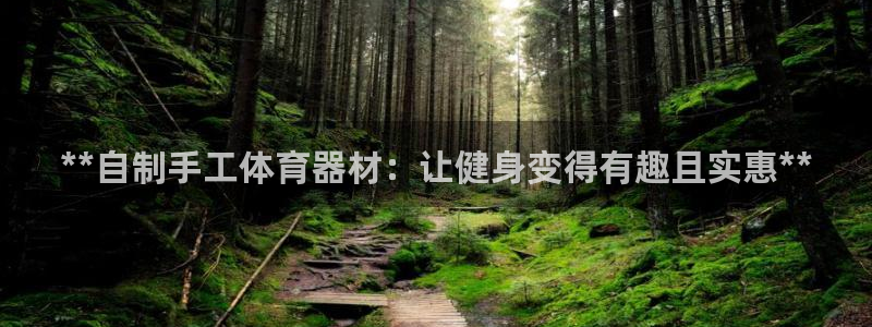 六星耀世什么意思：**自制手工体育器材：让健身变得有