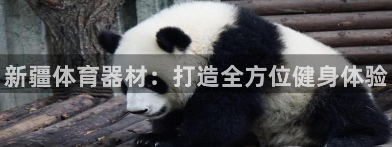 耀世娱乐骗局曝光：新疆体育器材：打造全方位健身体验