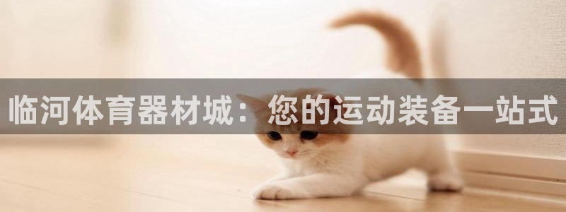 耀世娱乐中国：临河体育器材城：您的运动装备一站式