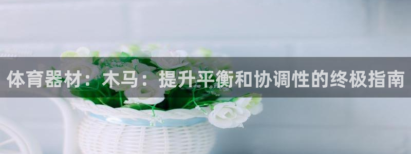 耀世盛典手游下载安装：体育器材：木马：提升平衡和协调