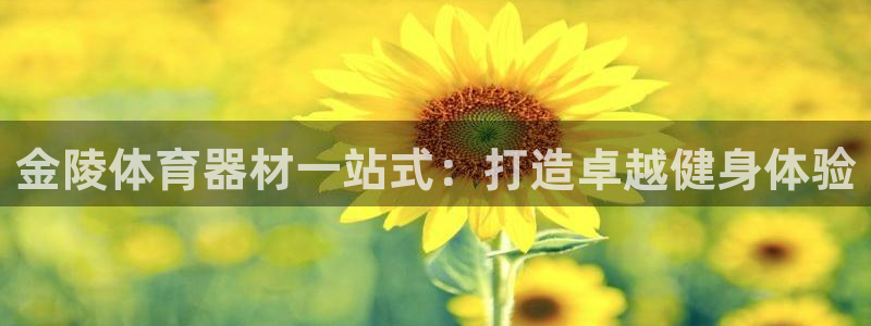 耀世娱乐骗局：金陵体育器材一站式：打造卓越健身体验