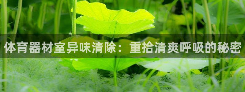 耀世平台代理怎么做：体育器材室异味清除：重拾清爽呼吸