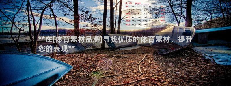 耀世平台六七五一38：**在[体育器材品牌]寻找优质
