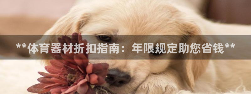 耀世开业是什么意思：**体育器材折扣指南：年限规定助