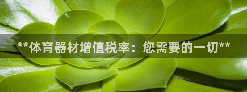 耀世娱乐含山：**体育器材增值税率：您需要的一切**