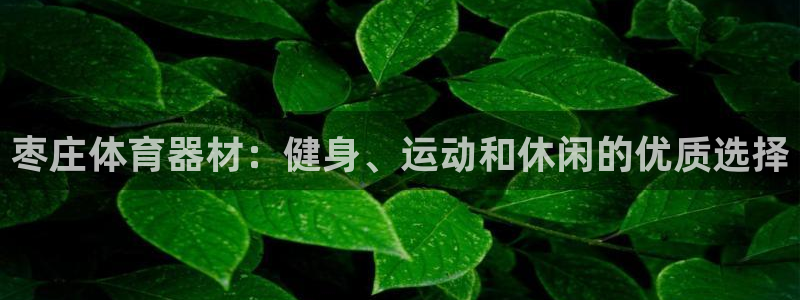 耀世平台下载：枣庄体育器材：健身、运动和休闲的优质选