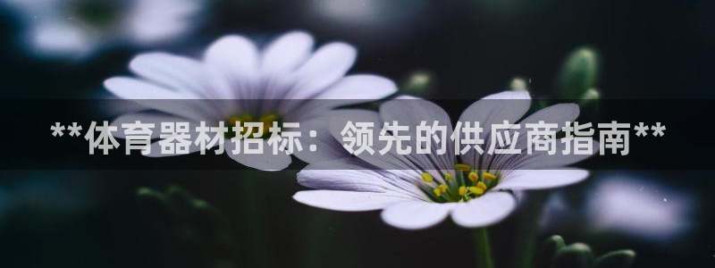 耀世平台佳 5O6917 耀世：**体育器材招标：领