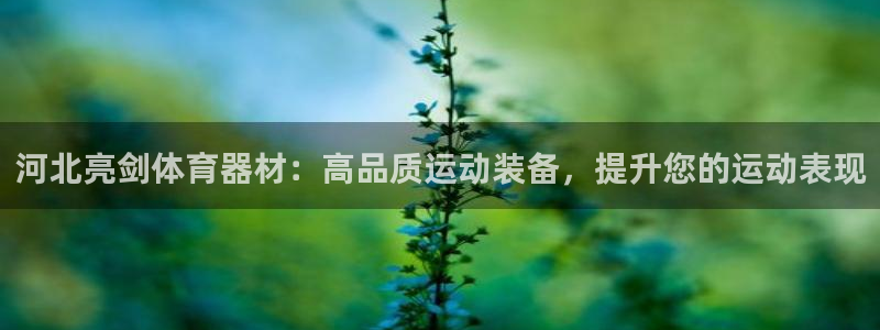 耀世娱乐注册资金多少：河北亮剑体育器材：高品质运动装