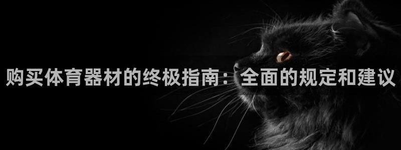 耀世而来是什么意思：购买体育器材的终极指南：全面的规