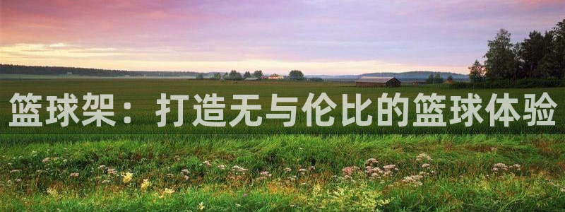 耀世平台军7O777：篮球架：打造无与伦比的篮球体验
