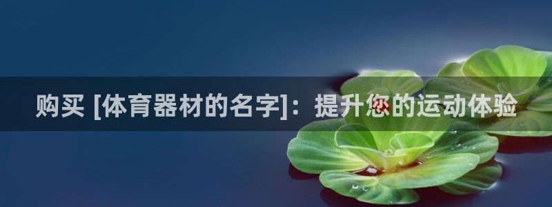 耀世娱乐官网首页登录：购买 [体育器材的名字]：提升