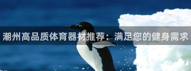 耀世娱乐官方网站入口：潮州高品质体育器材推荐：满足您