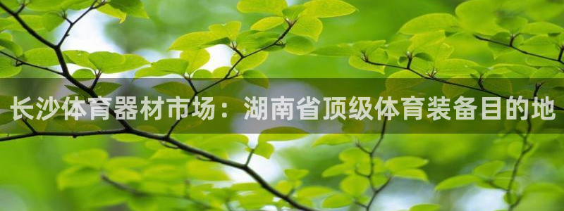 耀世平台代理怎么样：长沙体育器材市场：湖南省顶级体育