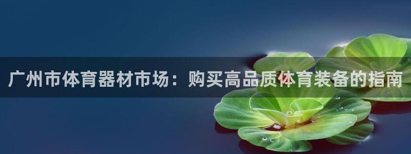耀世天下：广州市体育器材市场：购买高品质体育装备的指